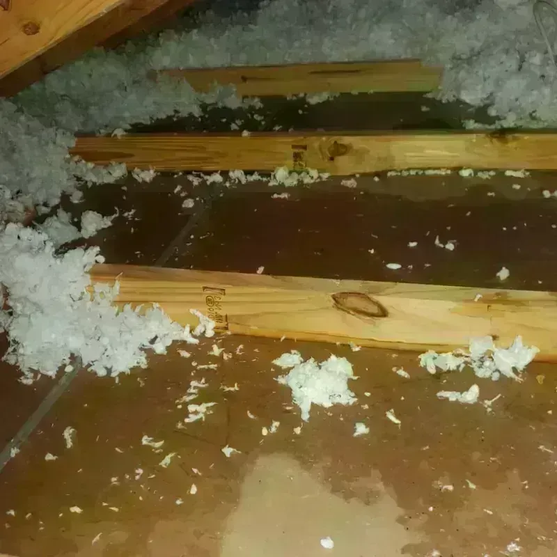 Attic Water Damage in Lancaster, OH