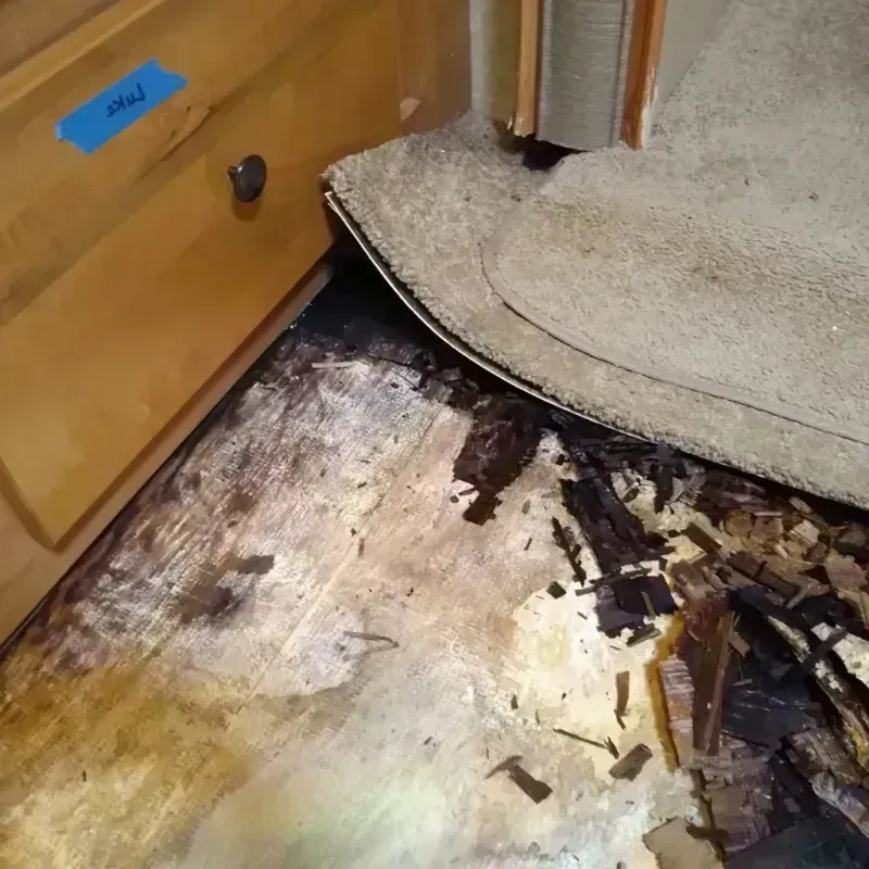 Wood Floor Water Damage in Lancaster, OH